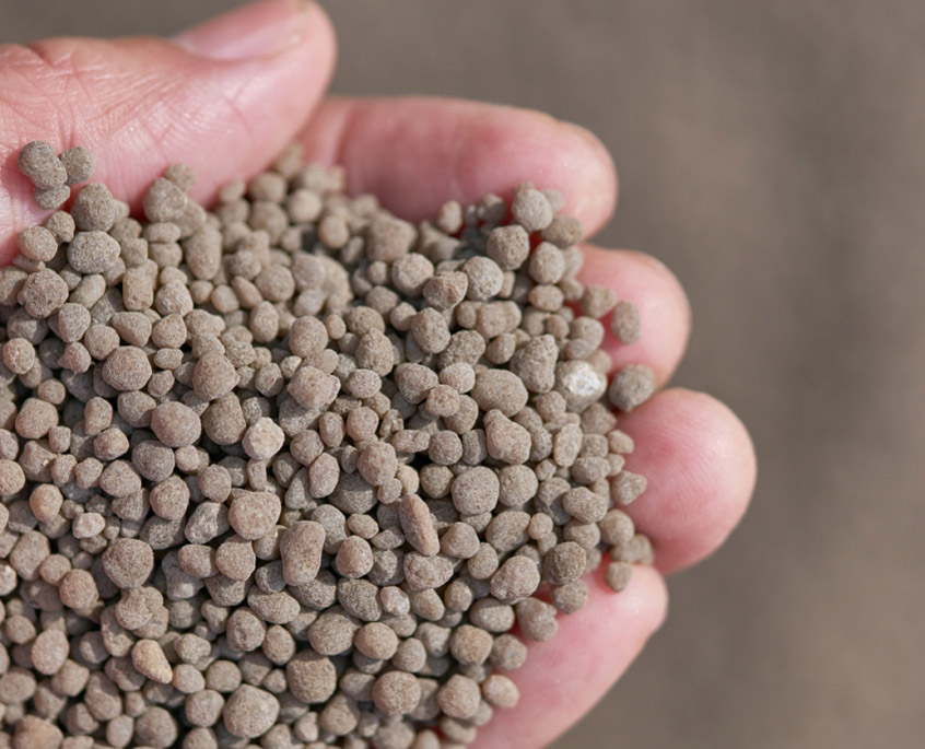 The Agriculture Department has appealed to farmers to use single super phosphate instead of DAP for all oilseed based crops.
